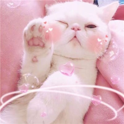 ต่าย อรทัย avatar